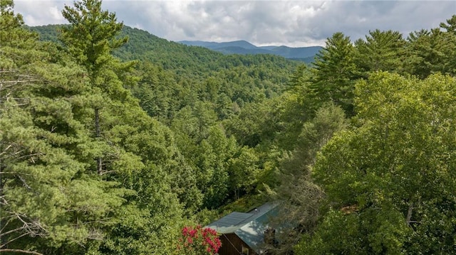 property view of mountains