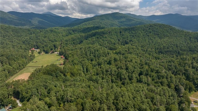 view of mountain feature