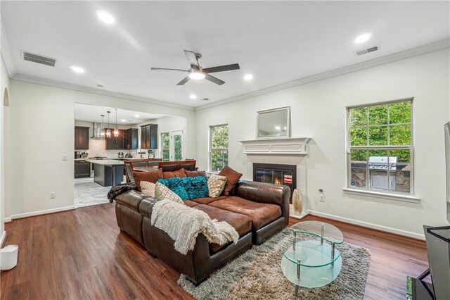 living area with a wealth of natural light, visible vents, dark wood-style flooring, and crown molding