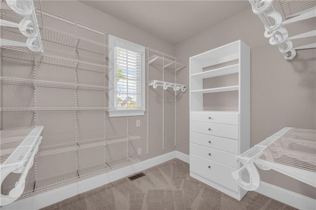 4424 Longmead Rd, Flowery Branch, GA 30542 - spacious closet featuring carpet flooring