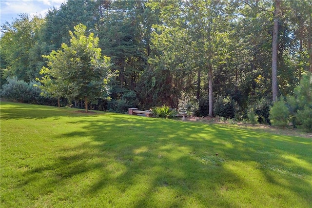 4424 Longmead Rd, Flowery Branch, GA 30542 - view of green lawn