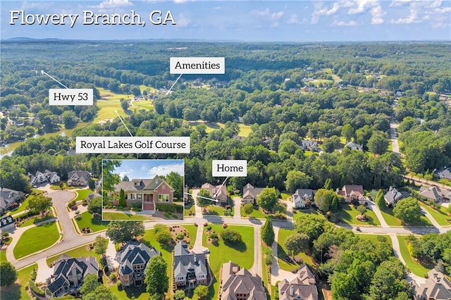 4424 Longmead Rd, Flowery Branch, GA 30542 - aerial perspective of suburban area