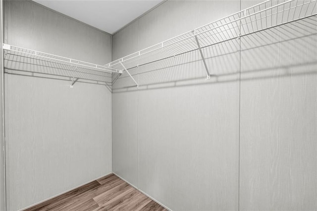 551 Fern Valley Trl, Clarkesville, GA 30523 - walk in closet with wood finished floors