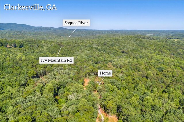 551 Fern Valley Trl, Clarkesville, GA 30523