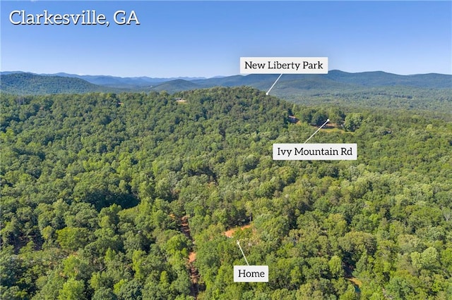 551 Fern Valley Trl, Clarkesville, GA 30523