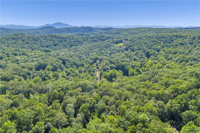 551 Fern Valley Trl, Clarkesville, GA 30523
