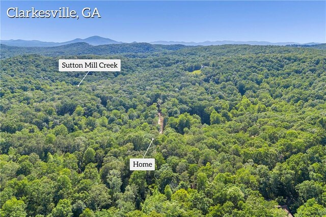 551 Fern Valley Trl, Clarkesville, GA 30523