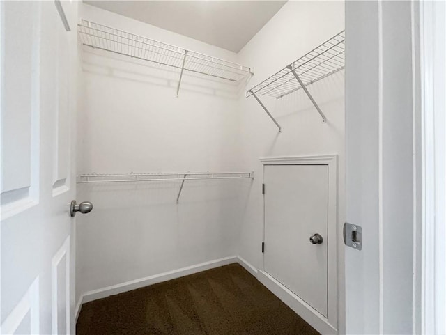200 Pine Trl, Dallas, GA 30157 - spacious closet featuring dark colored carpet