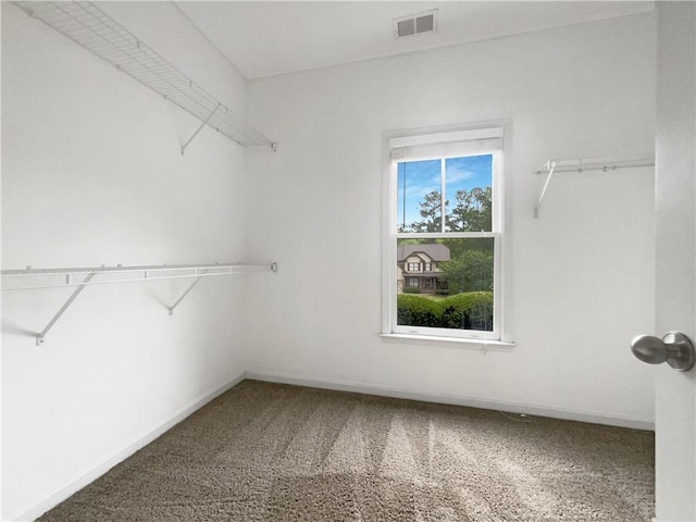 200 Pine Trl, Dallas, GA 30157 - walk in closet featuring carpet floors