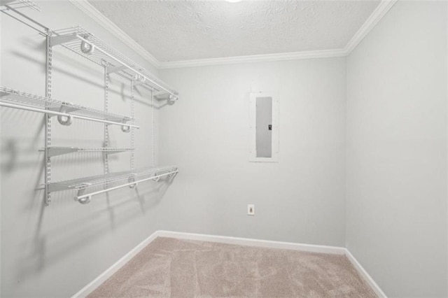 spacious closet with electric panel and carpet floors