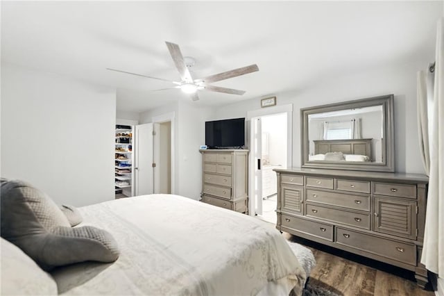 bedroom with dark wood finished floors, a ceiling fan, a spacious closet, and ensuite bath