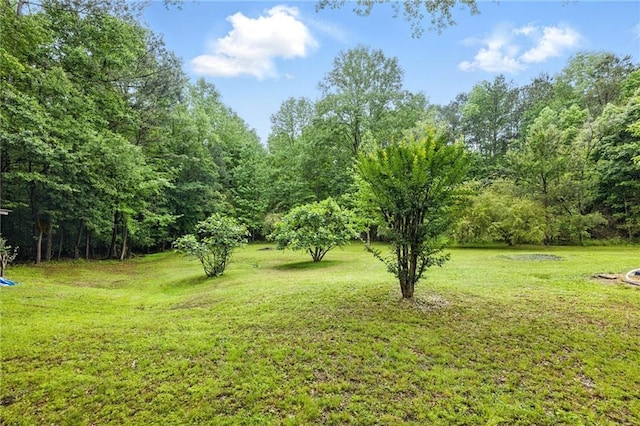 view of green lawn