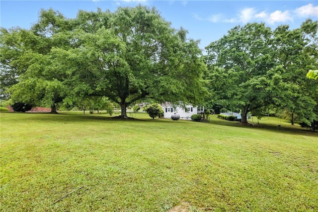 view of grassy yard
