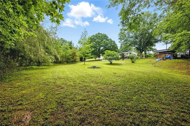 view of green lawn