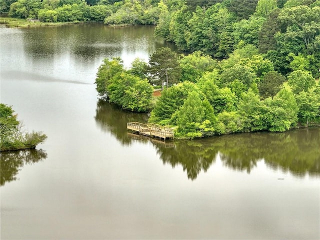 water view with a heavily wooded area and a floating dock