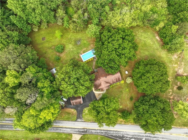 bird's eye view