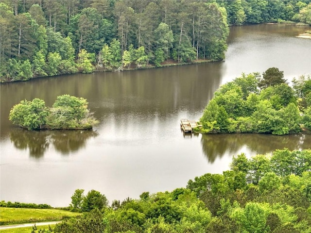 water view with a heavily wooded area