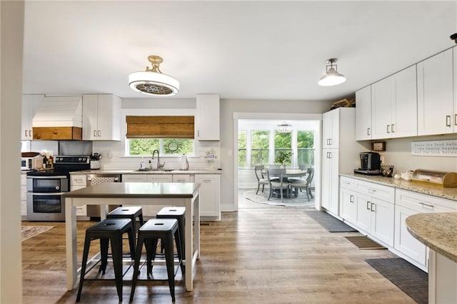 kitchen with double oven range, premium range hood, dishwashing machine, and plenty of natural light