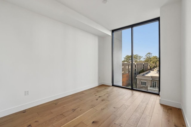 empty room featuring light hardwood / wood-style floors and expansive windows