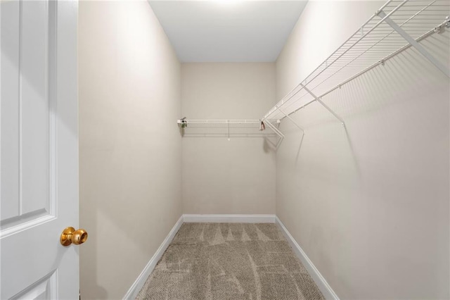 walk in closet featuring light carpet