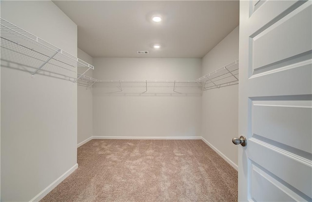 spacious closet featuring carpet flooring