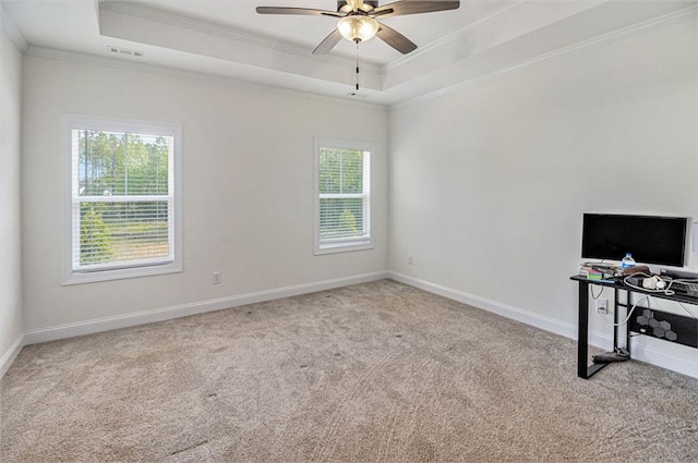 461 Barnwood Dr, Rockmart, GA 30153 - unfurnished office with ornamental molding, a raised ceiling, and carpet flooring