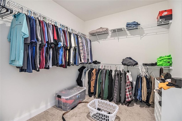 461 Barnwood Dr, Rockmart, GA 30153 - walk in closet with carpet flooring