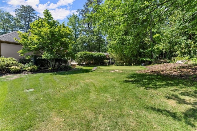 view of grassy yard