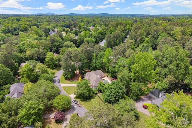 aerial view of a forest