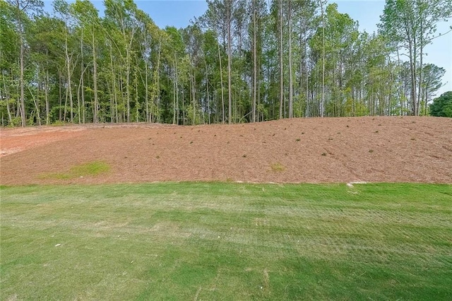 82 Lexie Ct, Rockmart, GA 30153 - view of undeveloped land