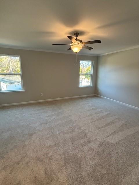 carpeted spare room with ceiling fan and ornamental molding