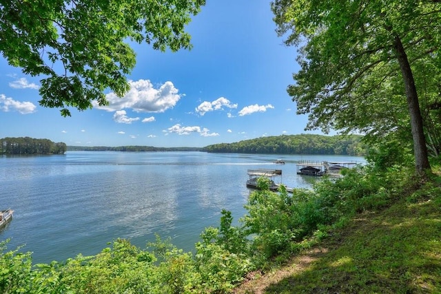 view of water feature featuring a dock and a wooded view