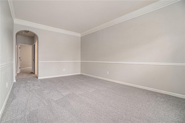 spare room featuring ornamental molding and carpet floors