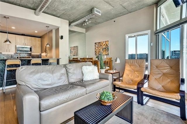 living room with wood finished floors