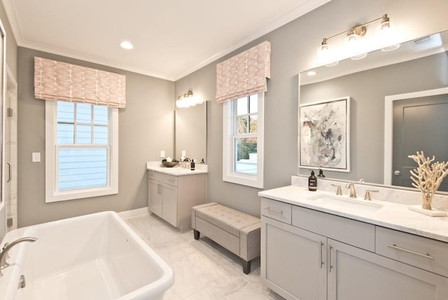 bathroom featuring vanity, a tub, and ornamental molding