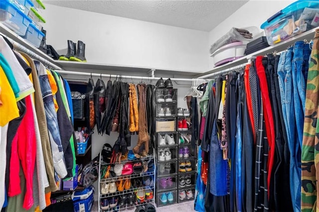 view of walk in closet