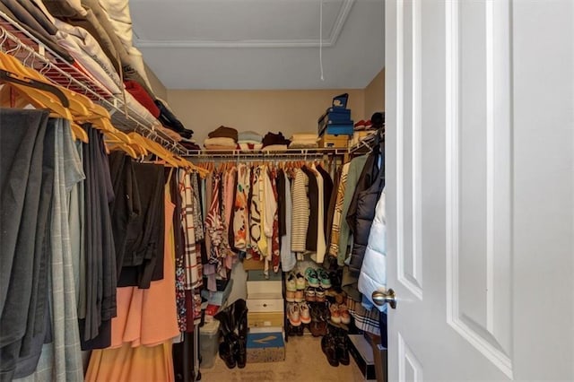 walk in closet with carpet flooring and attic access