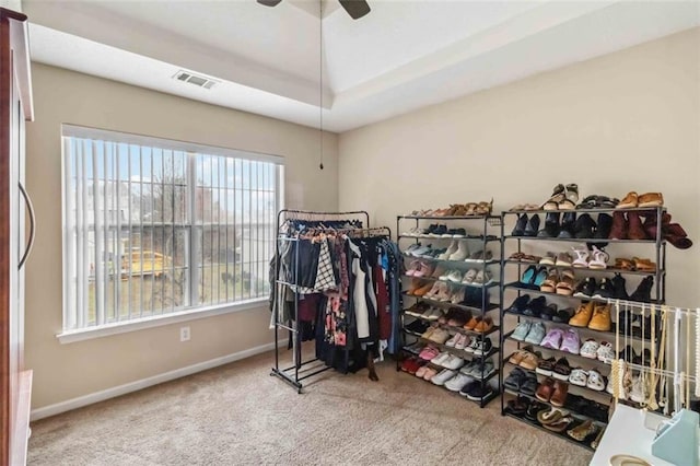 walk in closet featuring visible vents, carpet flooring, a raised ceiling, and a ceiling fan