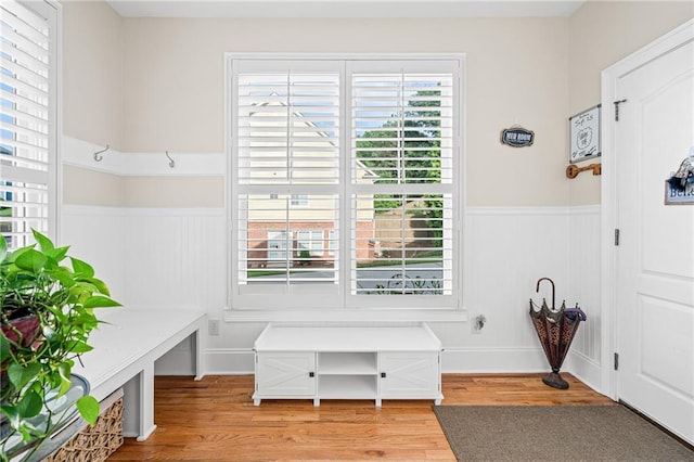 mudroom with a wainscoted wall and light wood-style floors