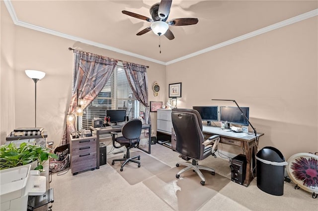 carpeted office featuring ornamental molding and a ceiling fan