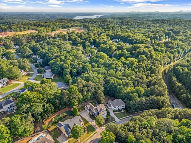 aerial overview of property's location featuring a forest