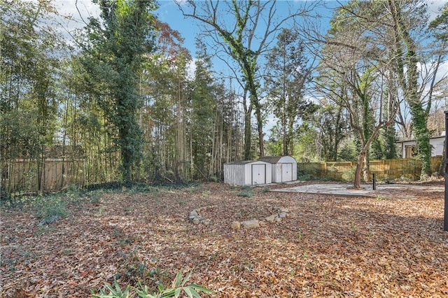 view of yard with a storage unit