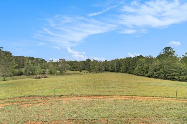 view of local wilderness with a rural view