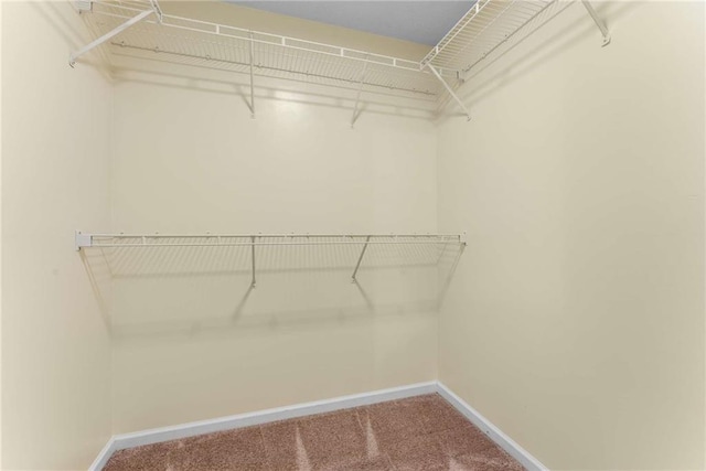 spacious closet featuring carpet floors