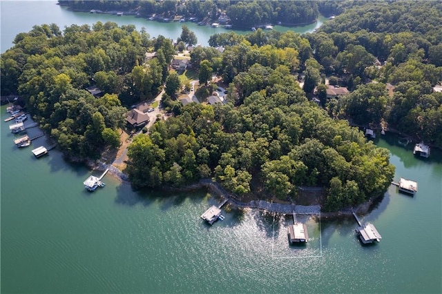 6160 Lake Lanier Heights Rd, Buford, GA 30518 - aerial view of a large body of water
