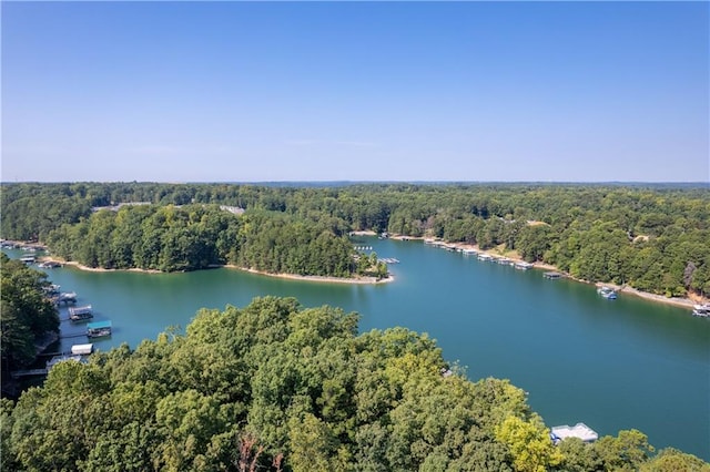 6160 Lake Lanier Heights Rd, Buford, GA 30518 - aerial view of a heavily wooded area and a large body of water