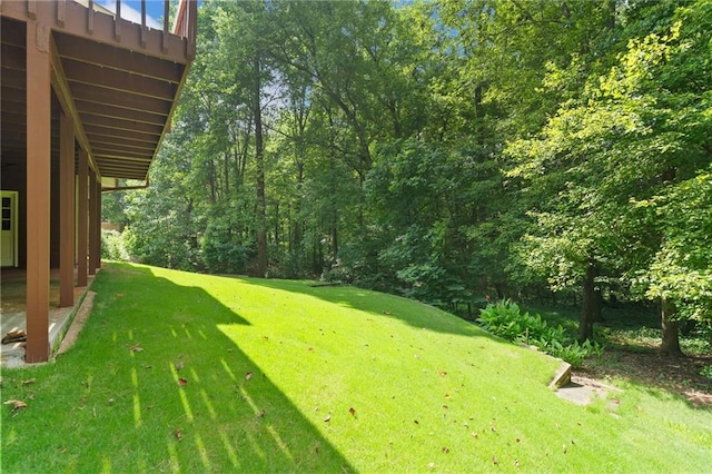 3436 Laurelwood Ct NE, Roswell, GA 30075 - view of grassy yard