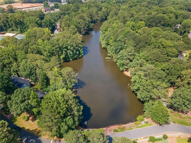 3436 Laurelwood Ct NE, Roswell, GA 30075 - view of property location with a nearby body of water and a forest