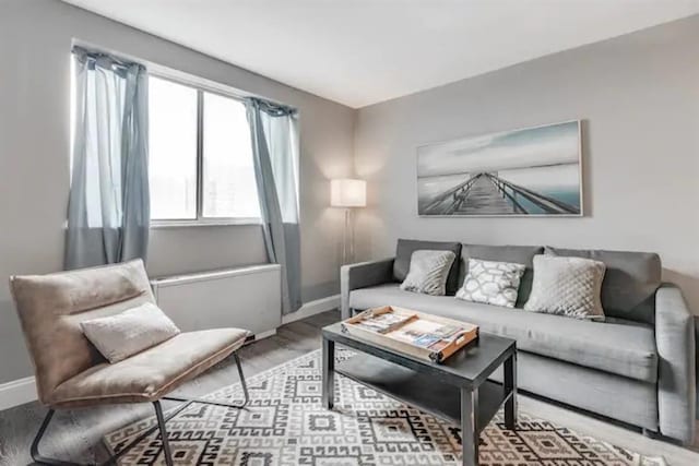 living area featuring baseboards and wood finished floors