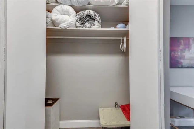 view of closet
